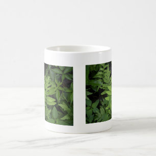 Fern Mug