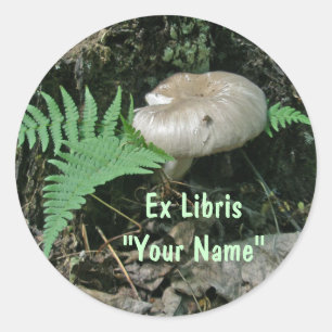 Fern & Mushroom at Stump Coordinating Items Classic Round Sticker