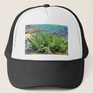Fern near the sea trucker hat