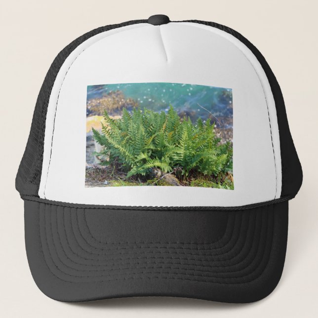 Fern near the sea trucker hat (Front)