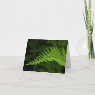 Fern P6597 Card