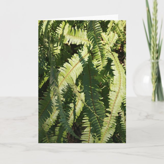 "Fern patterns" note card (Front)