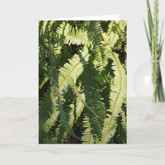 "Fern patterns" note card