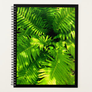 Fern Planner