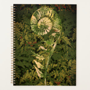 Fern Planner