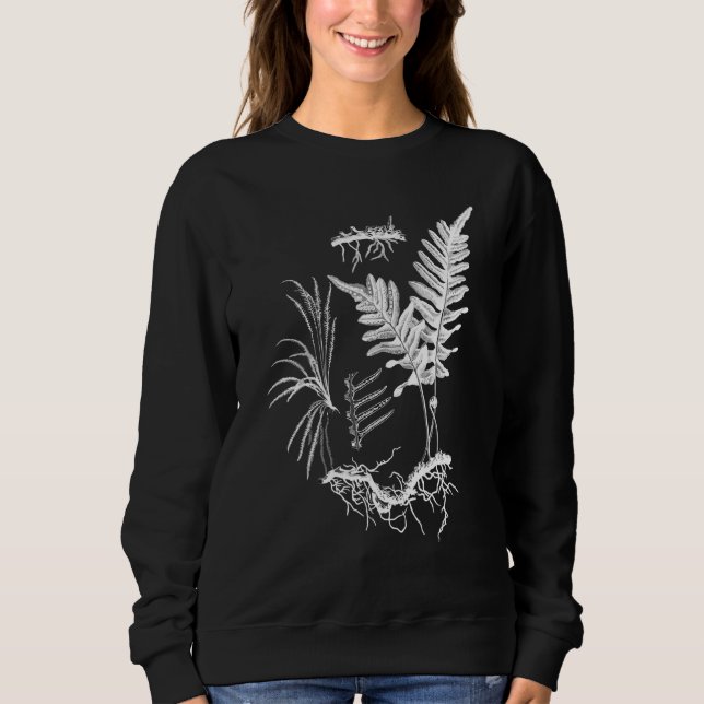 Fern Plant Botanical Ferns Illustration Flowerless Sweatshirt (Front)
