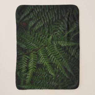 Fern plant sherpa blanket