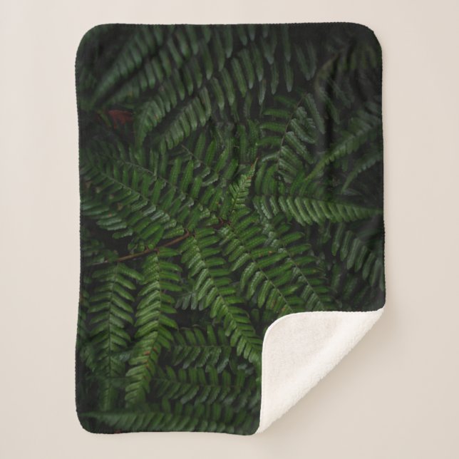 Fern plant sherpa blanket (Front)