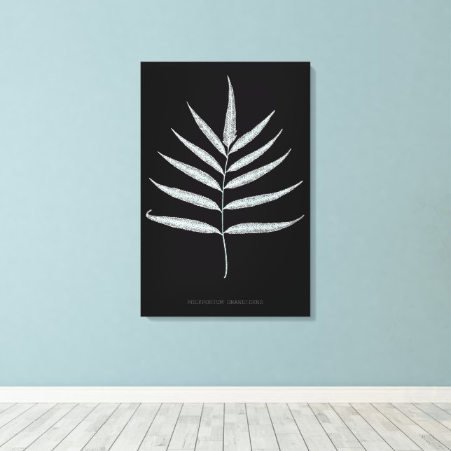 Fern - Polypodyum Grandidens - X-ray effect - 10 Canvas Print (Insitu(Wood Floor))
