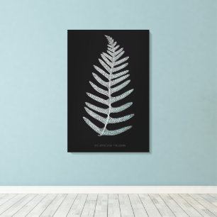 Fern - Polypodyum Vulgare - X-ray effect - 09 Canvas Print