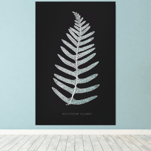 Fern - Polypodyum Vulgare - X-ray effect - 09 Canvas Print