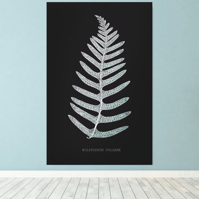 Fern - Polypodyum Vulgare - X-ray effect - 09 Canvas Print (Insitu(Wood Floor))