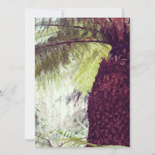 Fern Rainforest