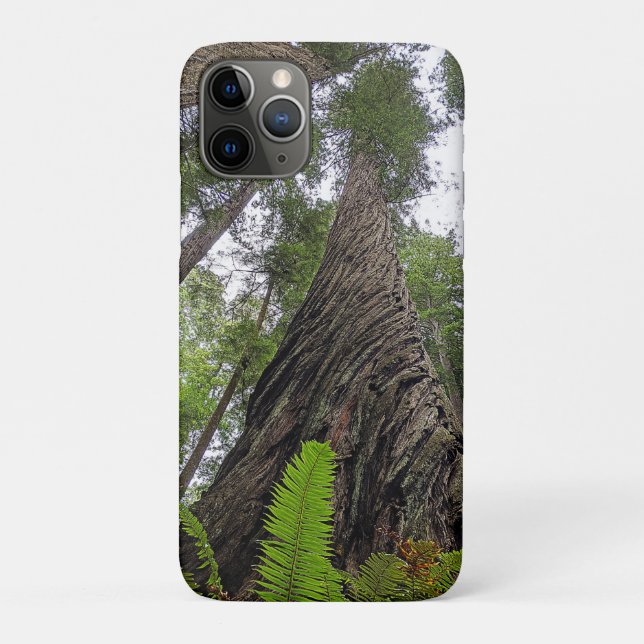 Fern Reaching To Sky Along Redwood's Swirled Bark Case-Mate iPhone Case (Back)