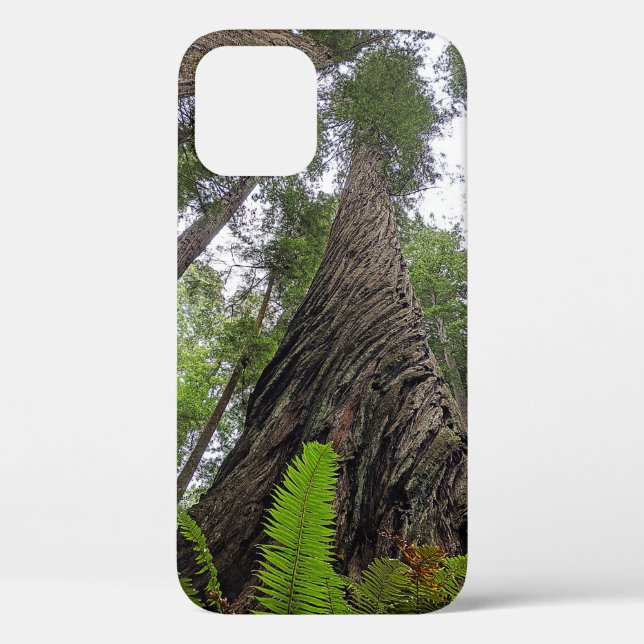 Fern Reaching To Sky Along Redwood's Swirled Bark Case-Mate iPhone Case (Back)