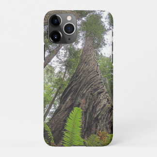 Fern Reaching To Sky Along Redwood's Swirled Bark iPhone 11Pro Case