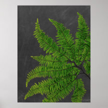 Fern sign w/ Chalkboard Background no. 5