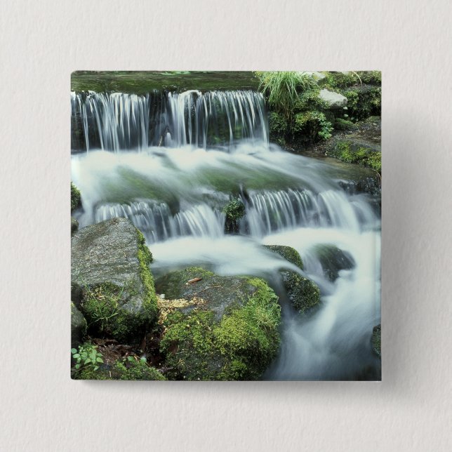 Fern Spring, Yosemite National Park 15 Cm Square Badge (Front)