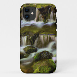 Fern Spring, Yosemite National Park, California iPhone 11 Case