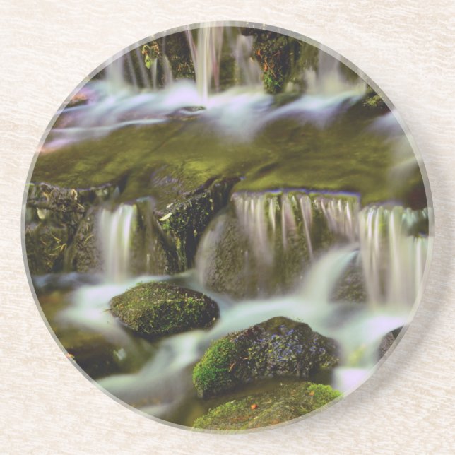 Fern Spring, Yosemite National Park, California Coaster (Front)