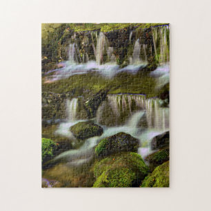 Fern Spring, Yosemite National Park, California Jigsaw Puzzle