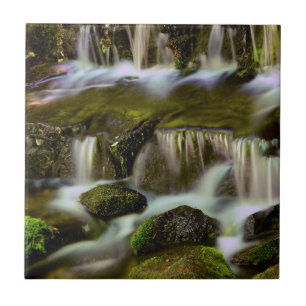 Fern Spring, Yosemite National Park, California Tile