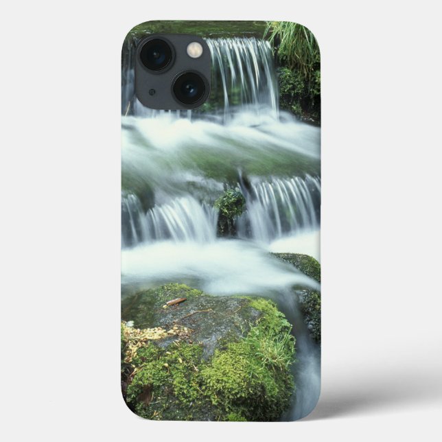 Fern Spring, Yosemite National Park Case-Mate iPhone Case (Back)