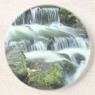Fern Spring, Yosemite National Park Coaster