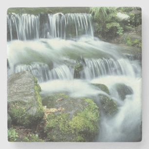Fern Spring, Yosemite National Park Stone Coaster