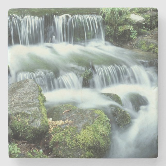 Fern Spring, Yosemite National Park Stone Coaster (Front)