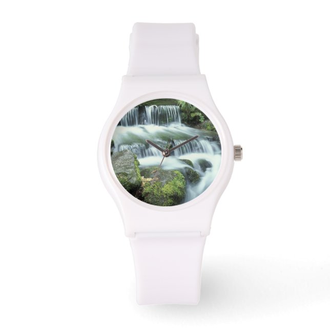 Fern Spring, Yosemite National Park Watch (Front)