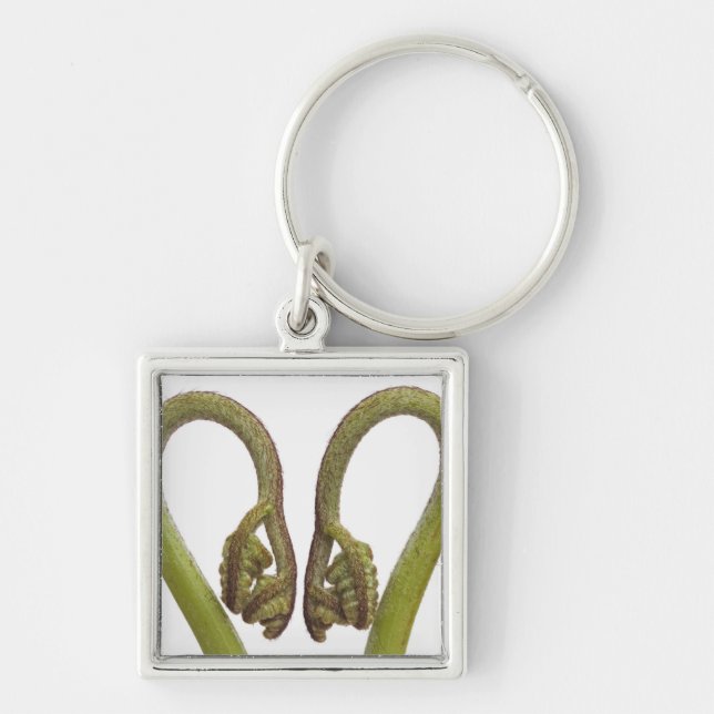 Fern sprouts 2 key ring (Front)