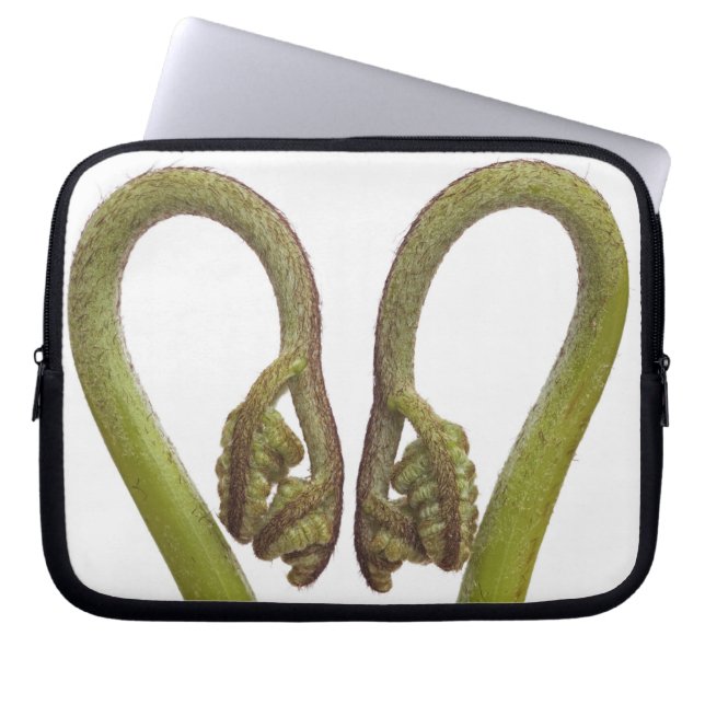 Fern sprouts 2 laptop sleeve (Front)