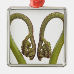 Fern sprouts 2 metal tree decoration