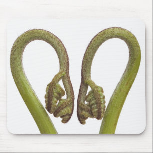 Fern sprouts 2 mouse mat