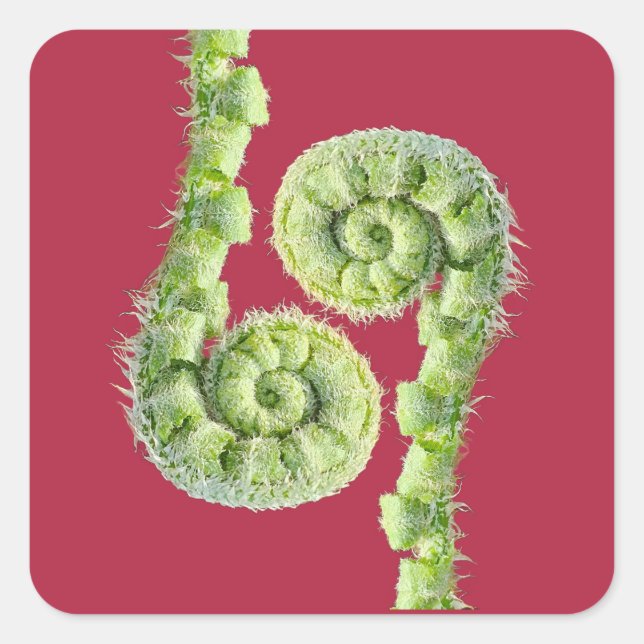 Fern Square Sticker (Front)