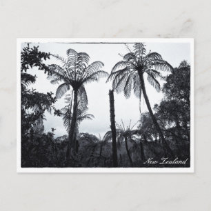 Fern Tree Forest, Nature, New Zealand Postcard