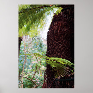 Fern Tropics Poster