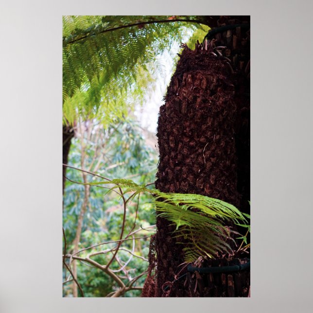 Fern Tropics Poster (Front)