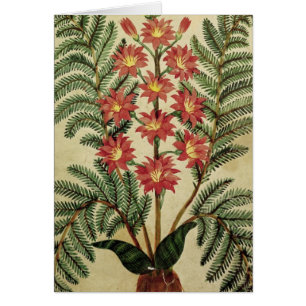 Fern with red and yellow flowers