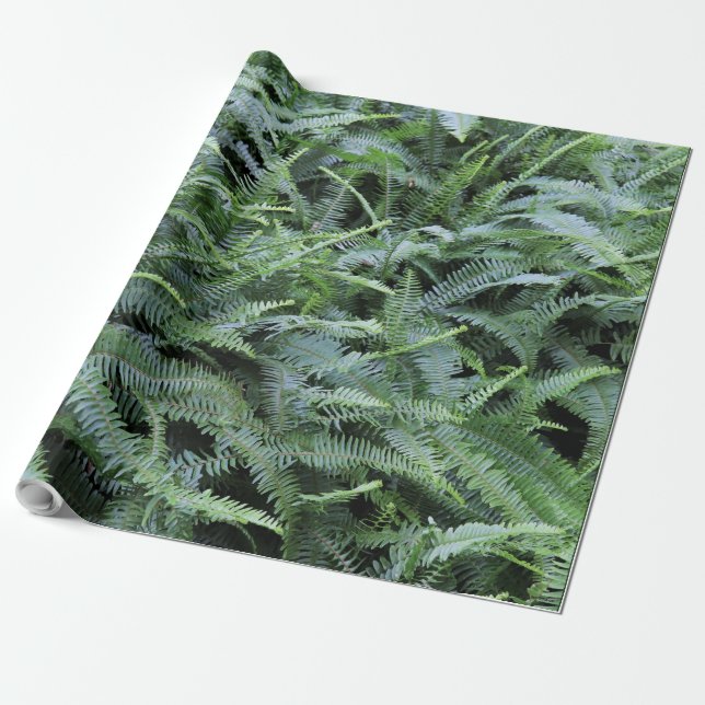 Fern Wrapping Paper (Unrolled)