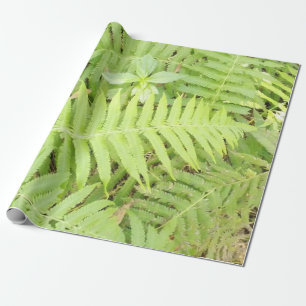 Fern Wrapping Paper Matt