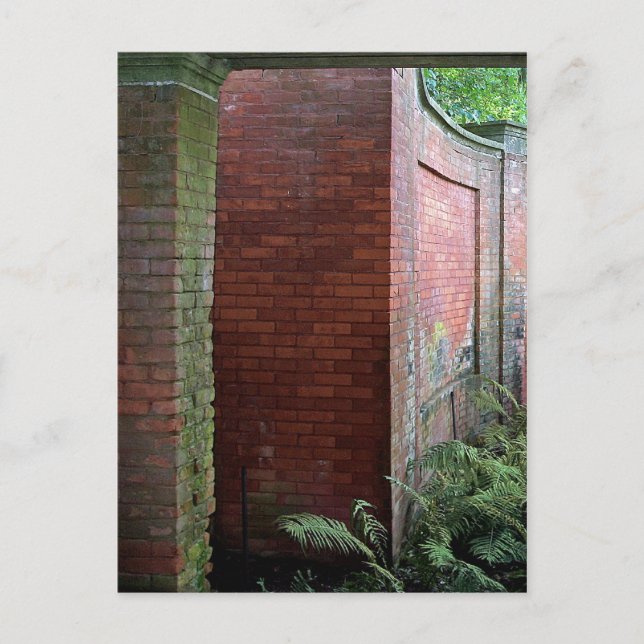 Ferns and Brick Postcard (Front)