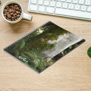 Ferns and Moss Covered Tree Nature Photo Notebook