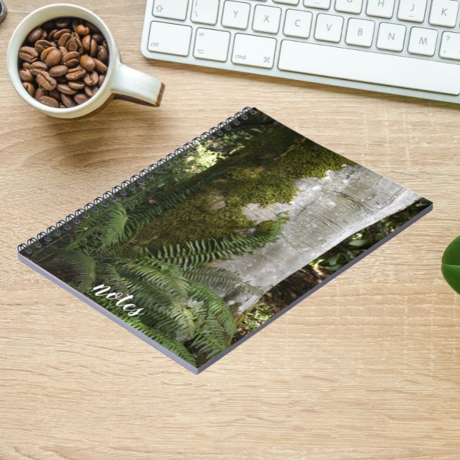 Ferns and Moss Covered Tree Nature Photo Notebook (In Situ Office)