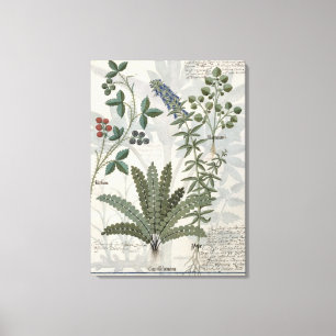 Ferns, Brambles and Flowers Canvas Print