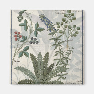 Ferns, Brambles and Flowers Magnet