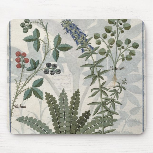 Ferns, Brambles and Flowers Mouse Mat (Front)