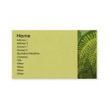 Ferns