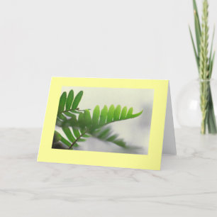 "Ferns" Card